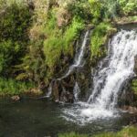 Private VIP Guided Auckland Waterfalls Tour - Practical Details and What’s Included