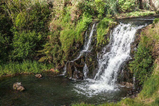 Private VIP Guided Auckland Waterfalls Tour - Practical Details and What’s Included