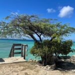 Private VIP Tours in Aruba - The Itinerary Breakdown: What to Expect