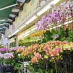 Private Walking Tour: Hong Kong Local Markets Hopper - Practical Aspects and Value