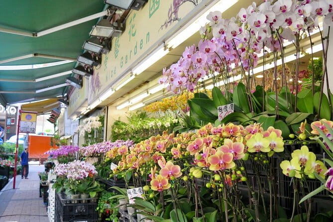 Private Walking Tour: Hong Kong Local Markets Hopper - Practical Aspects and Value