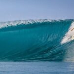 Private Whale Outing on the Tahiti Peninsula - Deep Dive into the Experience