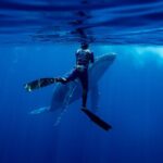 Private Whale Watching Adventure in Mo'orea - Practical Details