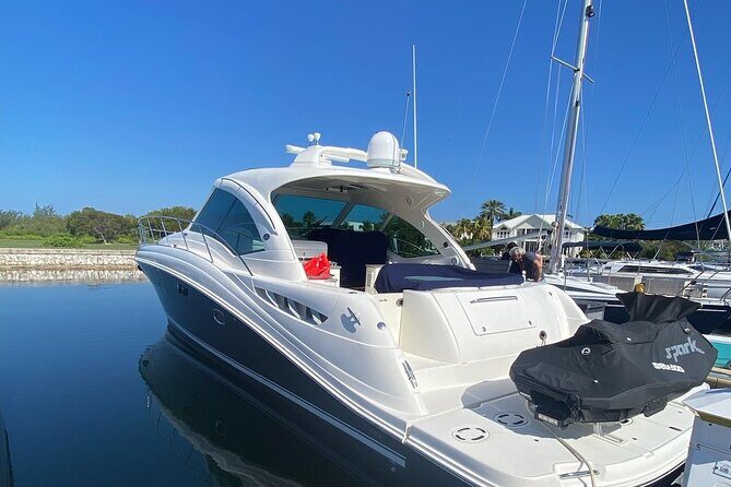 Private Yacht 48 ft Sting Ray City, Snorkel & Starfish Beach - What’s Included and What to Consider