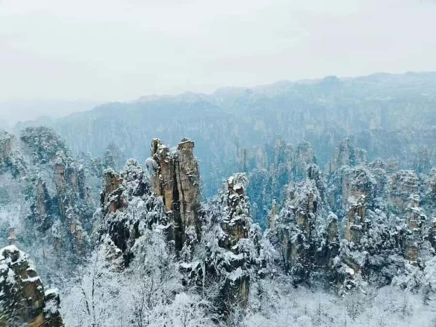 Private Zhangjiajie Guided Tour:Glass Bridge,Avatar &Tianmen - What Makes This Tour Stand Out?