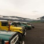 Probolinggo: Bromo Volcano Sunrise Tour with Jeep Ride - Detailed Review of the Mount Bromo Sunrise Tour