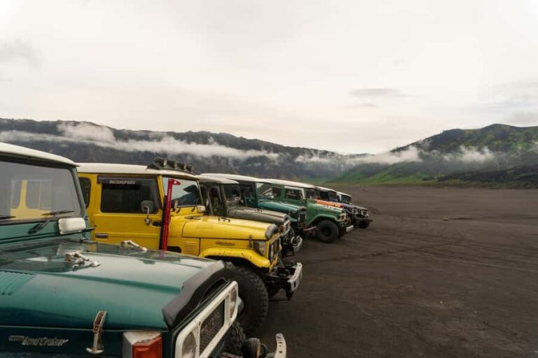 Probolinggo: Bromo Volcano Sunrise Tour with Jeep Ride - Detailed Review of the Mount Bromo Sunrise Tour