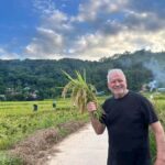 Pu Luong: Half-Day Trekking Tour with Local Guide - Why Choose This Tour?