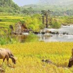 Pu Luong Hidden Paradise Private Trip with Rafting - What’s Included and What’s Not?