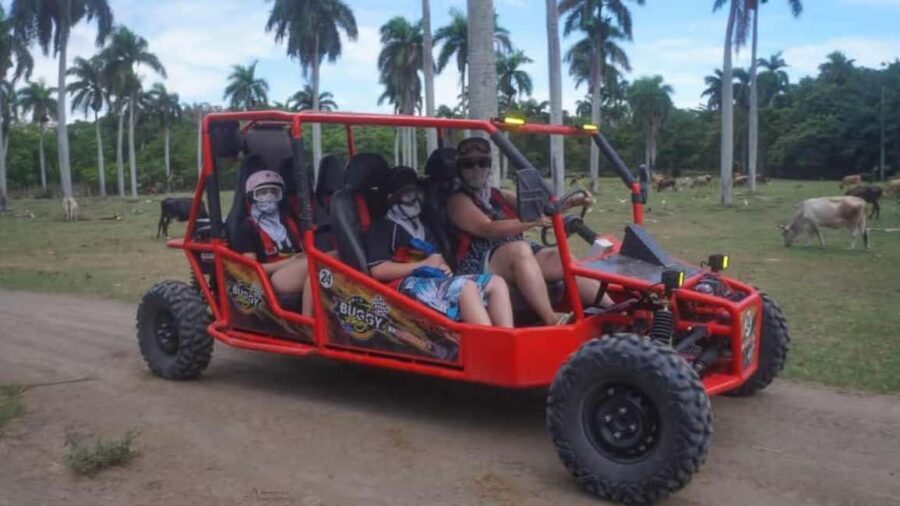 Puerto Plata: Buggy Tour with Cigar Factory & Beach Stop - What to Expect from the Tour
