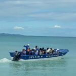 Puerto Plata: Cayo Arena Tour with Snorkeling and Mangroves - Journey to Paradise: From Hotel to Cayo Arena