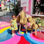 Puerto Plata City Private Tour - Why This Tour Offers Great Value