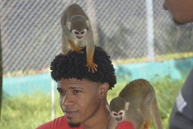 Puerto Plata Monkey Home Tour by Minivan - Who Is This Tour Best For?