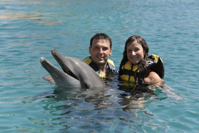 Puerto Plata Ocean World Dolphin Swim - What Makes This Tour a Good Deal?