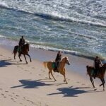 Puerto Plata: Sunset Beach Horseback Riding - A Closer Look at the Sunset Beach Horseback Ride