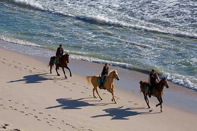 Puerto Plata: Sunset Beach Horseback Riding - A Closer Look at the Sunset Beach Horseback Ride