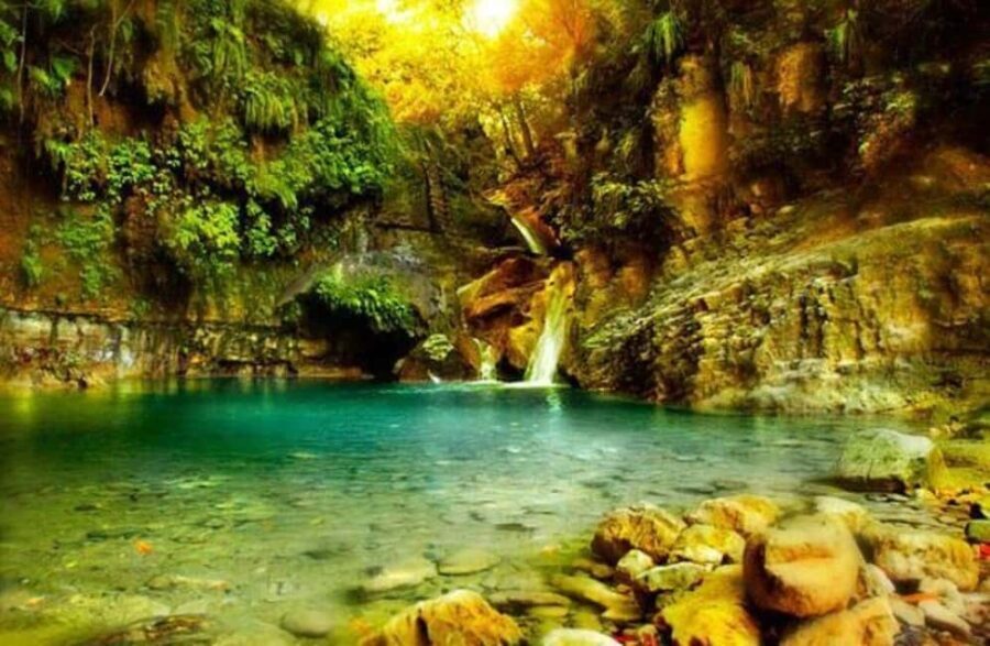 Puerto Plata: Waterfalls of Damajagua - What to Expect from the Damajagua Waterfalls Tour