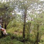 Puerto Plata: Zipline and Waterfall Adventure with Lunch - A Deep Dive into the Experience