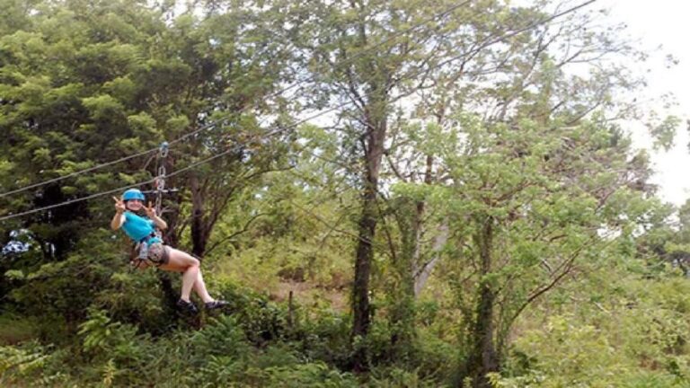 Puerto Plata: Zipline and Waterfall Adventure with Lunch - A Deep Dive into the Experience