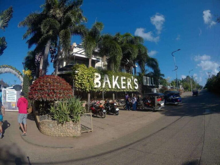 Puerto Princesa Half Day City Tour (shared tour) - Who Should Consider This Tour?