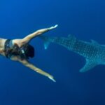 Puerto Princesa: Swim with Whale Sharks Boat Cruise - Practical Tips for Your Trip
