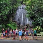 Puerto Rico: El Yunque Sightseeing Half-Day Tour w/Transfer - The Details of the El Yunque Half-Day Tour