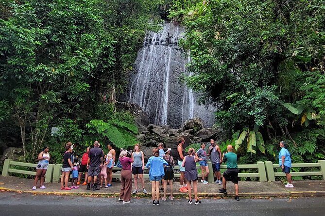Puerto Rico: El Yunque Sightseeing Half-Day Tour w/Transfer - The Details of the El Yunque Half-Day Tour