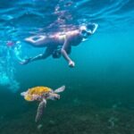 Puerto Rico Jet Snorkel with Turtles and Videos in San Juan - In-Depth Itinerary Breakdown