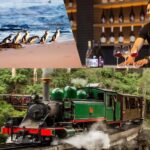 Puffing Billy Penguin Parade Mercedes Minibus Hotel Pickup - Exploring the Itinerary in Detail