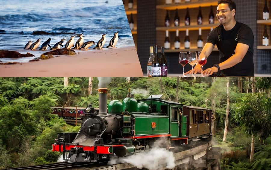 Puffing Billy Penguin Parade Mercedes Minibus Hotel Pickup - Exploring the Itinerary in Detail  