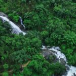 Pullikanam : Tea Estate Tour from Kochi  Closer than Munnar - Who Should Consider This Tour?