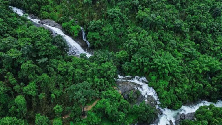 Pullikanam : Tea Estate Tour from Kochi  Closer than Munnar - Who Should Consider This Tour?