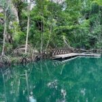 Punta Cana 3in1 Adventure: Los Haitises Park, Waterfall & Montaña - Yanigua Waterfall and Cocoa Experience