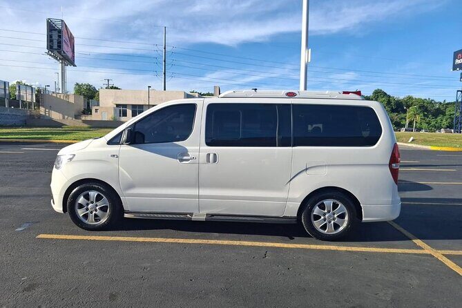 Punta Cana Airport Transfer Bayahibe Van - Who Would Love This Service?