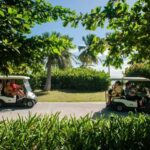 Punta Cana: Blue Lagoon Tour with Catamaran Cruise - Practical Details and Value
