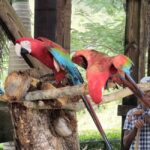 Punta Cana: Buggy and Zipline Adventure at La Hacienda - The Experience: Balancing Fun and Practicality