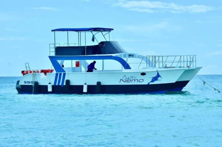 Punta Cana: Catalina Island Day Trip with Snorkeling - Who Should Consider This Tour?