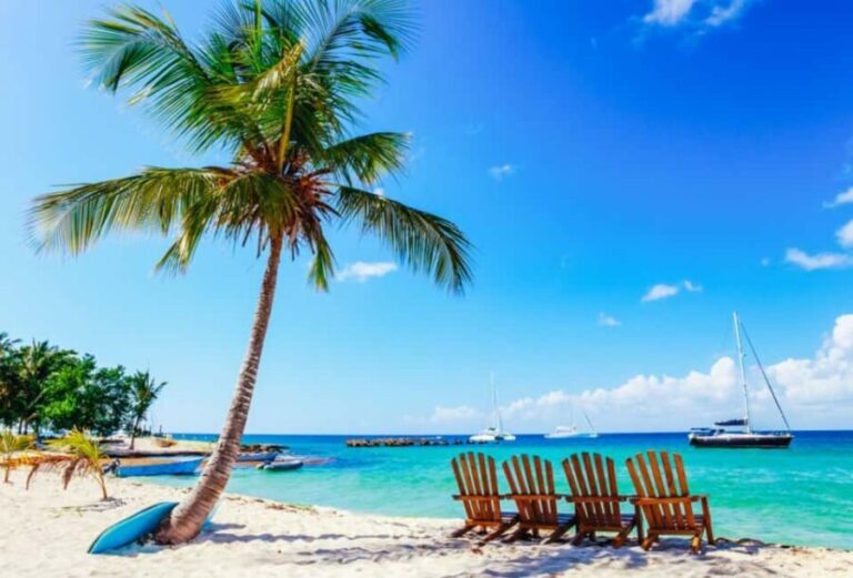 Punta Cana: Catamaran Boat to Saona Island with Buffet Lunch - Practical Details and Tips