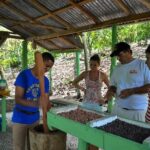 Punta Cana: Cultural half-day tours in the Dominican Republic - Authentic Experiences & Local Flavors