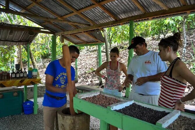 Punta Cana: Cultural half-day tours in the Dominican Republic - Authentic Experiences & Local Flavors