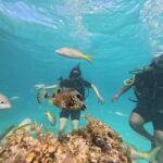 Punta Cana: Discover Scuba Diving Experience for Beginners - Practical Details and What to Know Before You Go