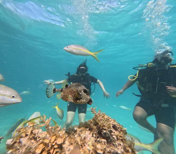 Punta Cana: Discover Scuba Diving Experience for Beginners - Practical Details and What to Know Before You Go