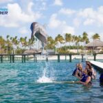 Punta Cana Dolphin Adventure: 40-Minute Interaction - What Travelers Are Saying