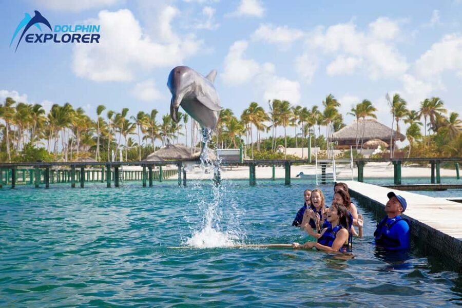 Punta Cana Dolphin Adventure: 40-Minute Interaction - What Travelers Are Saying