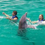 Punta Cana Dolphin Experience: 50 Minutes of Water Fun - The Sum Up: Is This Tour Right for You?