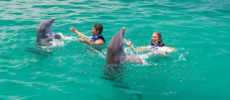 Punta Cana Dolphin Experience: 50 Minutes of Water Fun - The Sum Up: Is This Tour Right for You?
