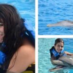 Punta Cana: Dolphin Explorer Park Entry, Swim, or Encounter - What’s Included in the Experience?