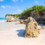 Punta Cana: Half Day Dominican Cultural and Higuey City Tour - Practical Details & Value Analysis