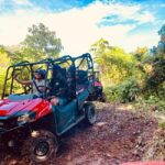 Punta Cana: Jungle Buggy Tour with Monkeyland Visit - The Jungle Buggy Ride: A Mixture of Adventure and Nature
