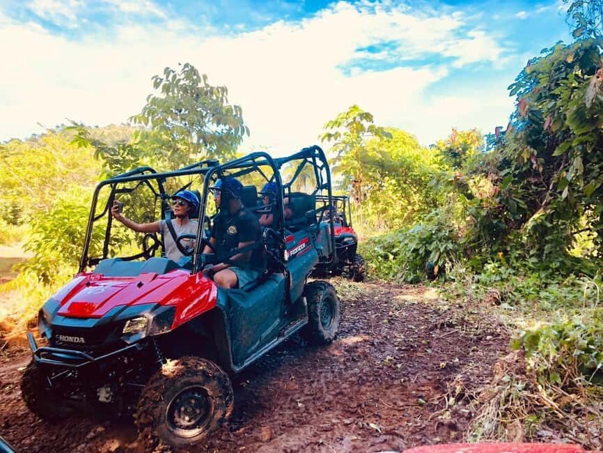 Punta Cana: Jungle Buggy Tour with Monkeyland Visit - The Jungle Buggy Ride: A Mixture of Adventure and Nature